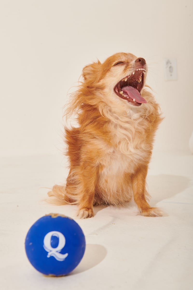 A Quinta 28-10-22__0426