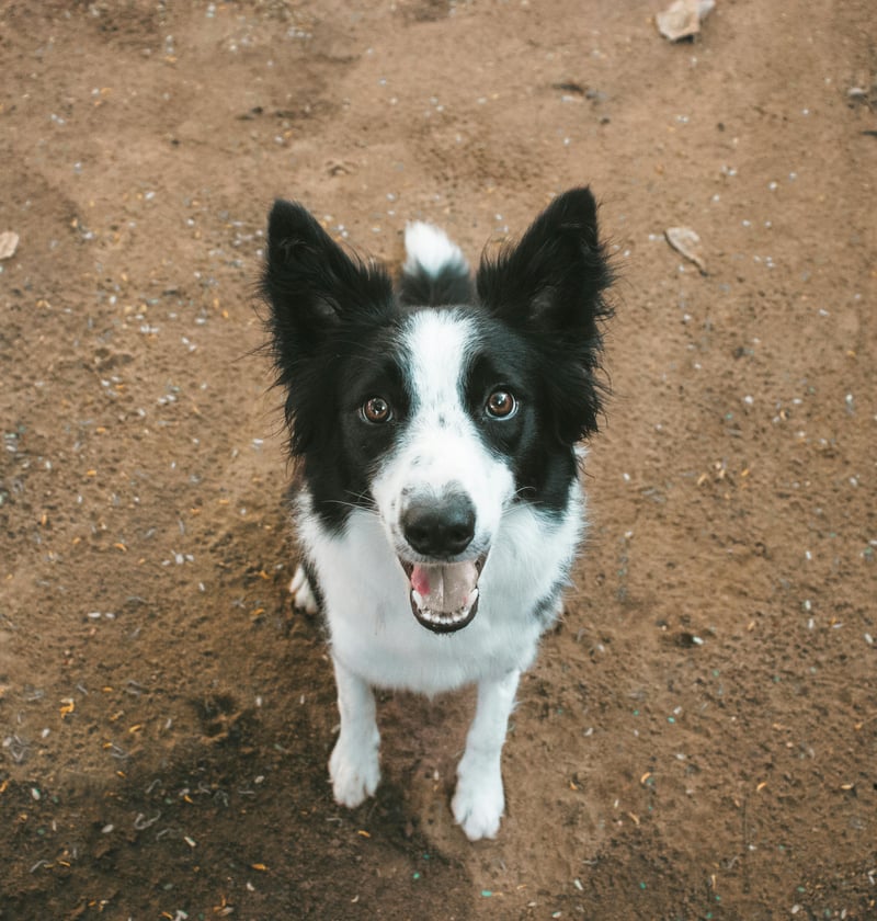 pexels-gabi-orrico-194178369-20153647